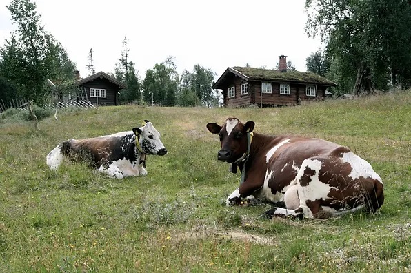 Setergudstjeneste