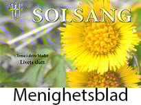 Solsang