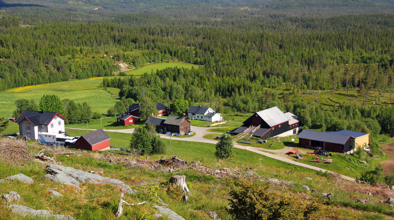 Bildekveld i Leirskogen kyrkjestogo 25.10