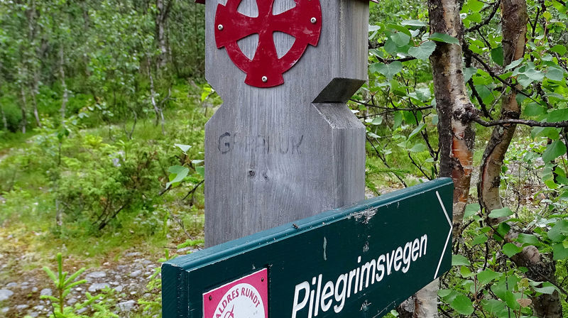 Vegen er godt merket