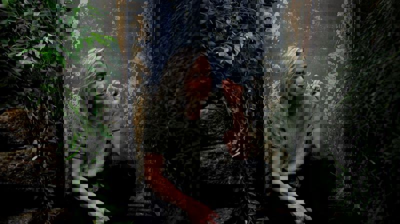 Foto: Sortland Jazzfestival