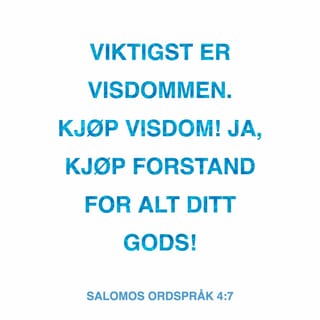 VISDOMMEN HAR VIST SEG Å HA RETT