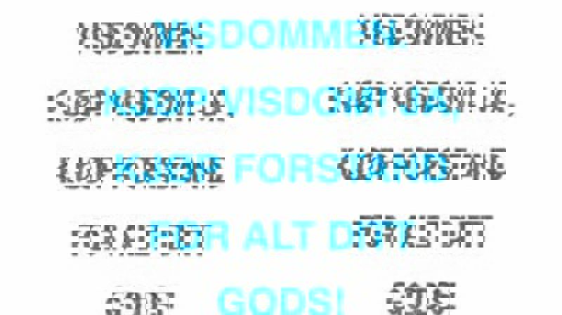 VISDOMMEN HAR VIST SEG Å HA RETT