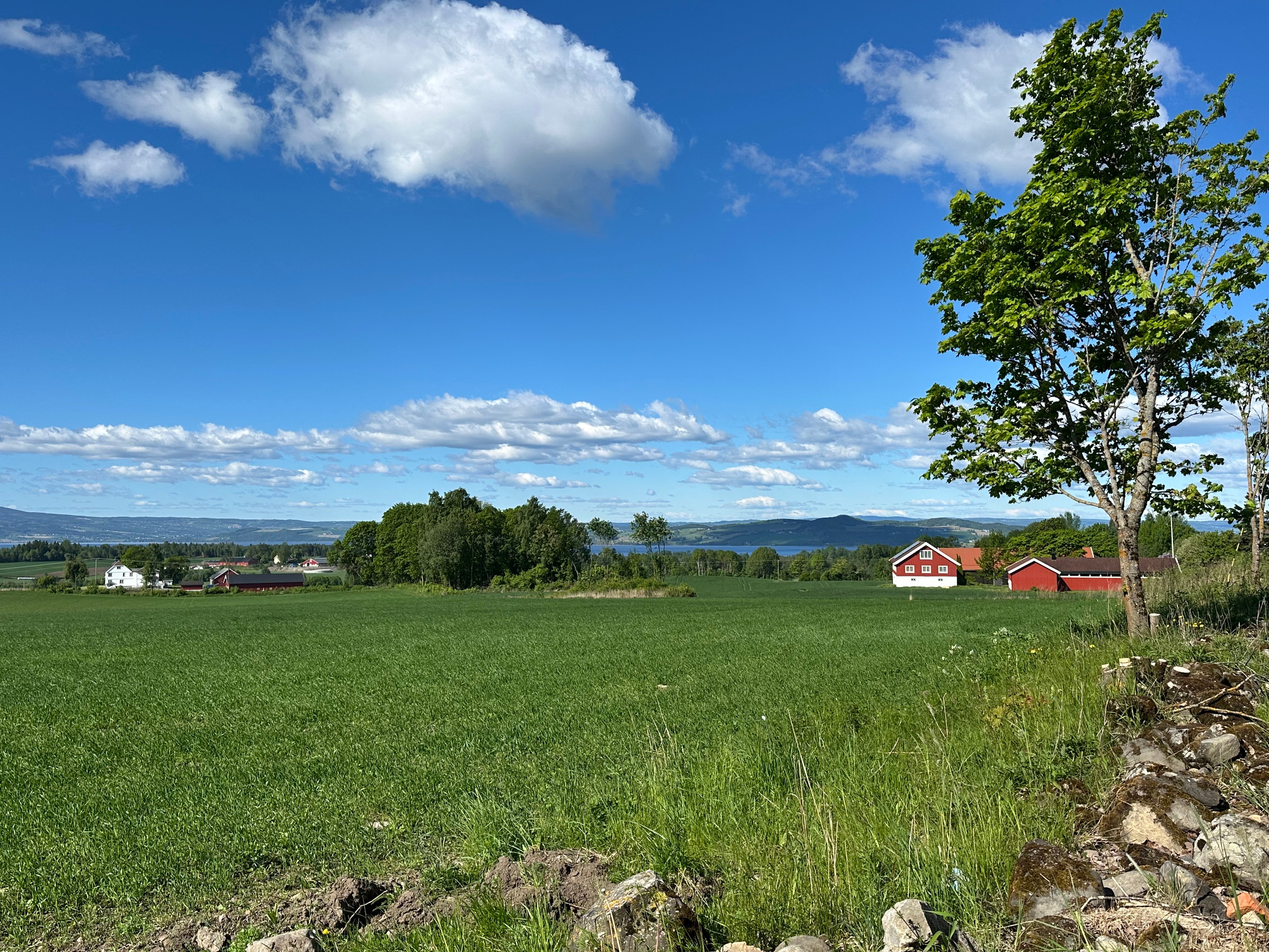 Foto: Aslaug Haugen