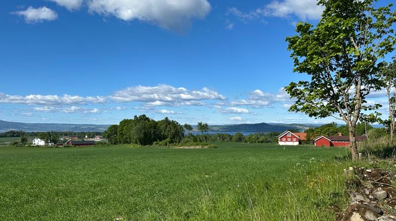 Foto: Aslaug Haugen