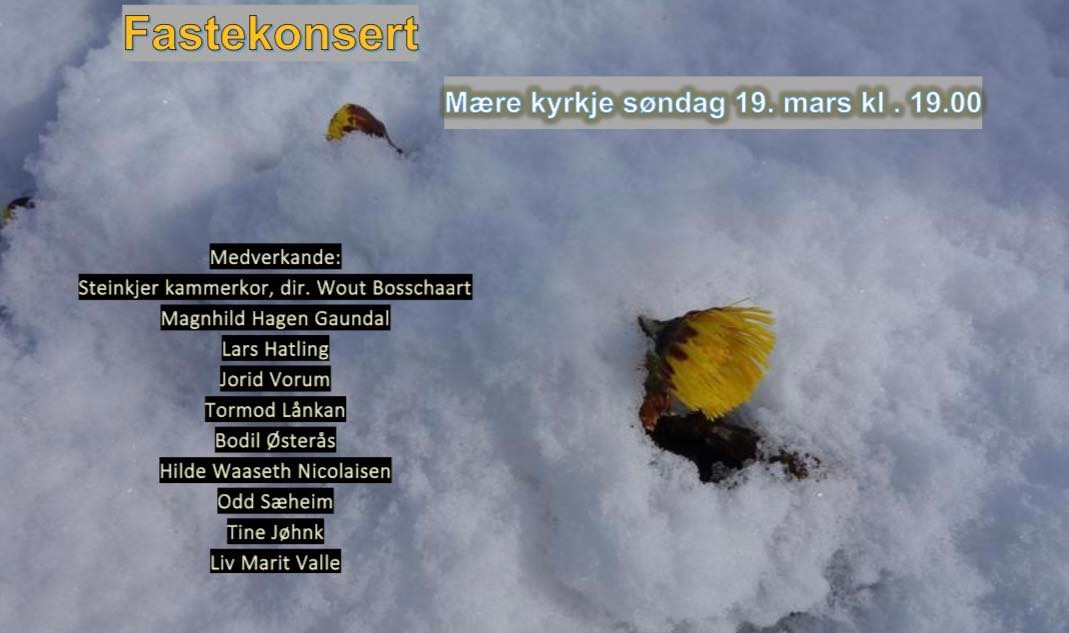 Fastekonsert i Mære kyrkje