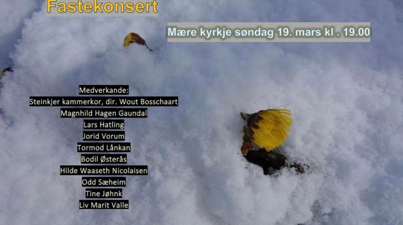 Fastekonsert i Mære kyrkje