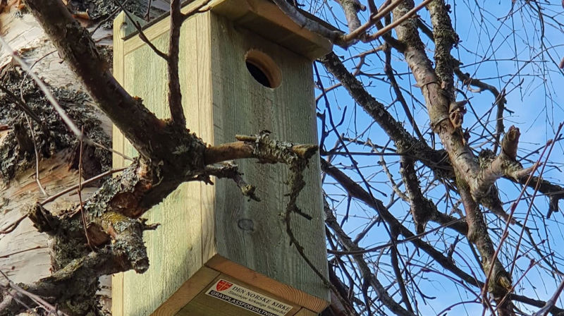 Gladsak fra gravplassforvaltningen