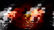 Foto: Myriams-Fotos / Pixabay