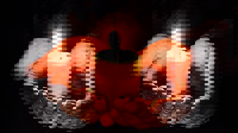 Foto: Myriams-Fotos / Pixabay