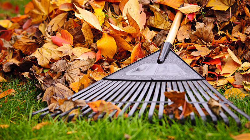 Dugnad på gravplassene våren 2021