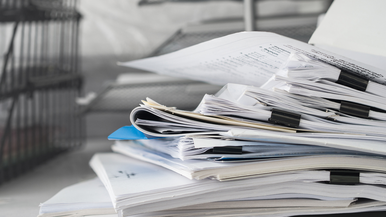 ©Adobe Stock Photo / Yuinaya