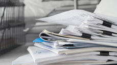 ©Adobe Stock Photo / Yuinaya