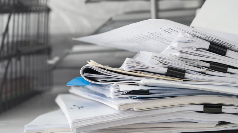 ©Adobe Stock Photo / Yuinaya