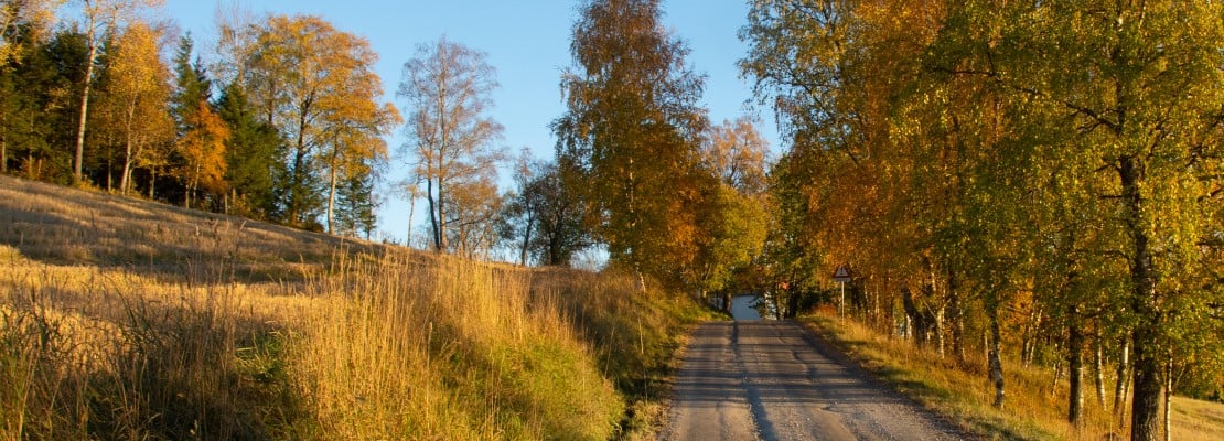 Toppbilde for Steinkjer Kirkelige Fellesråd