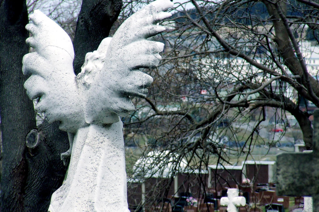 Priser på tjenester ved kirkegårdene