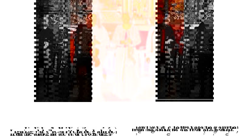 To feler og eit trøorgel i Liabygda