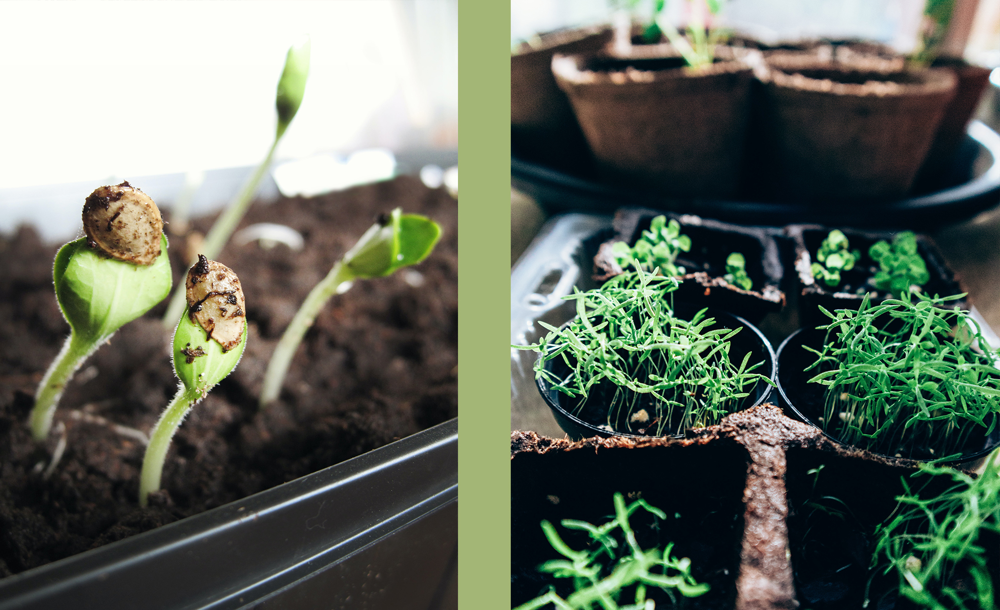 Fastetid - ei tid for ettertanke