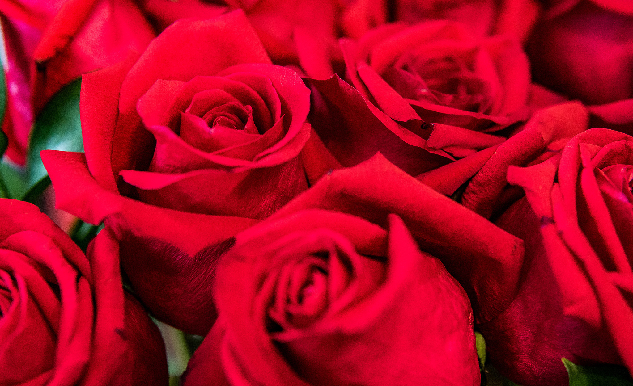 22. juli markering og open kyrkje