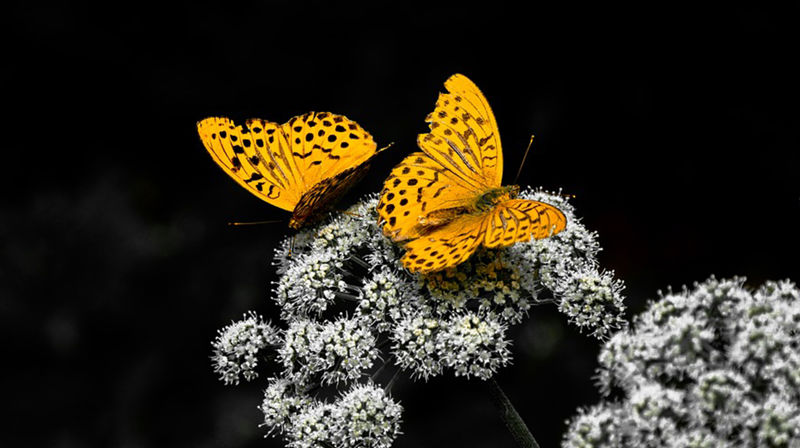 Velkomen til sorggruppe her på Sula. Oppstart veke 6. Meld deg på her.