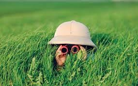 Agent for skaparverket