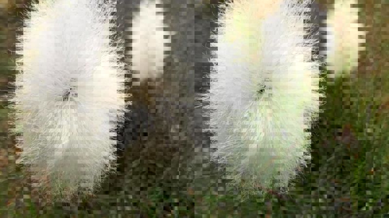 Informasjon om åpningstider