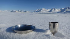 Fra Ny-Ålesund. Foto: Leif Magne Helgesen