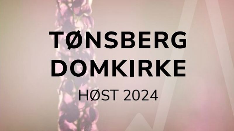 Høstprogram for Domkirken menighet
