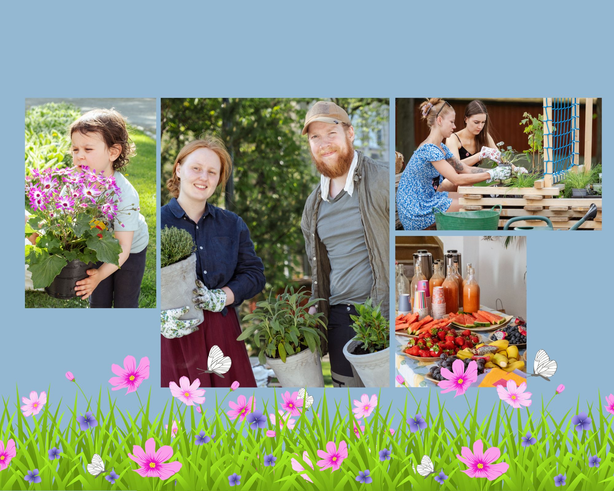 Nå dufter det av dill, rosmarin, timian, løk og lakris rundt kirka – og til neste år blomstrer epletrærne