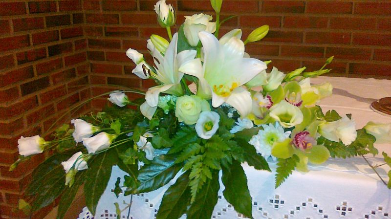 Alterblomst. Foto: Ingrid Karlgård Moxness