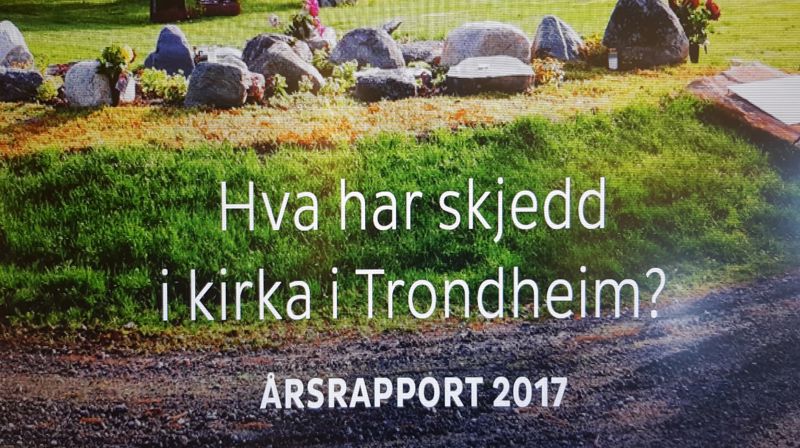 Årsrapport for 2017