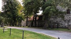 Domkirkegården. Foto: Trygve Jensen