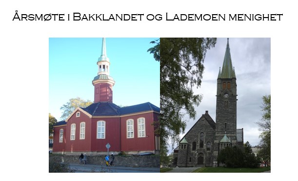 Årsmøte 2023