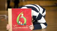 Utdeling av 6-årsbok skjer 2. mars i Nes og Grymyr kirker og 13. april i Ål kirke (foto: Den norske kirke).
