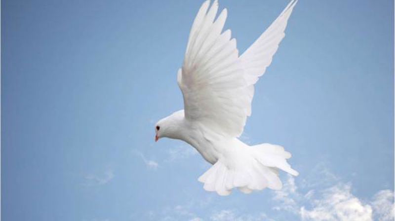 Velkommen til pinsegudstjeneste i Lademoen kirke søndag 20. mai kl. 11.00