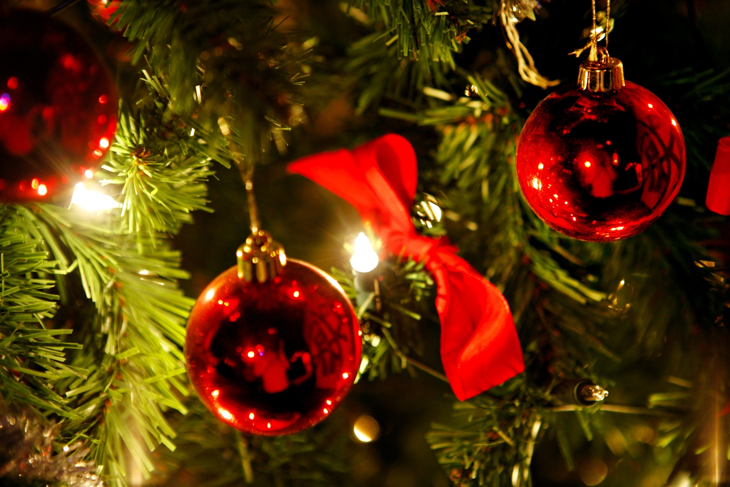 Julens gudstjenester 2019