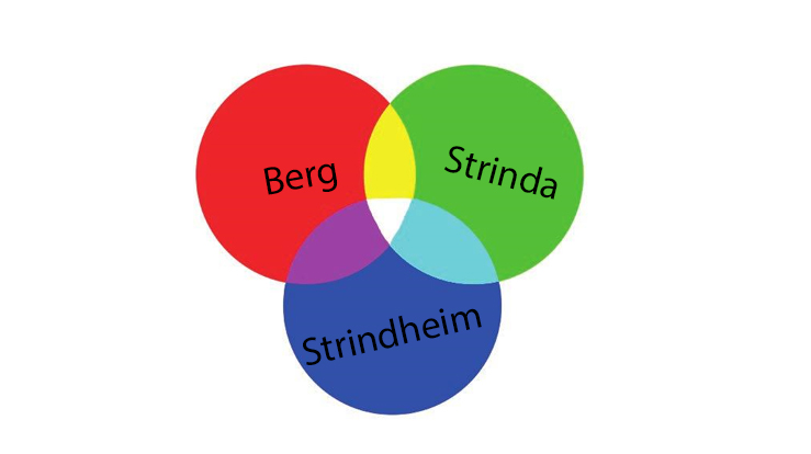 Berg går mot sammenslåing