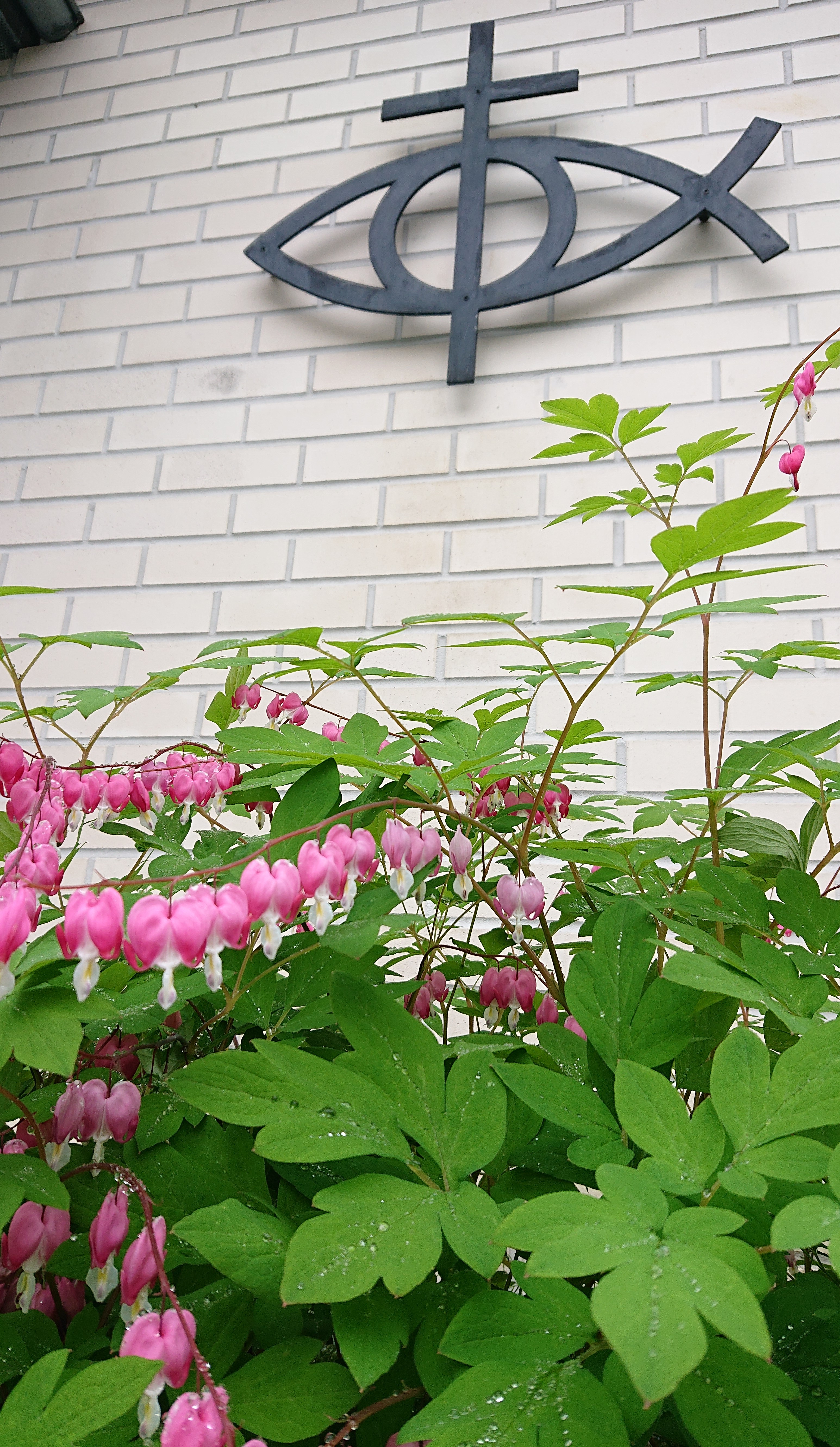 Sommeren 2025 - åpningstider og gudstjenester