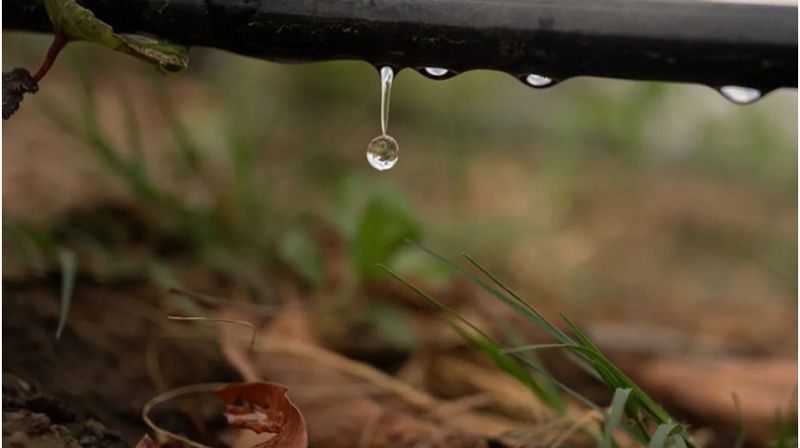 Fasteaksjonen 2025-Håp i en dråpe vann. Du kan gjøre en forskjell!!