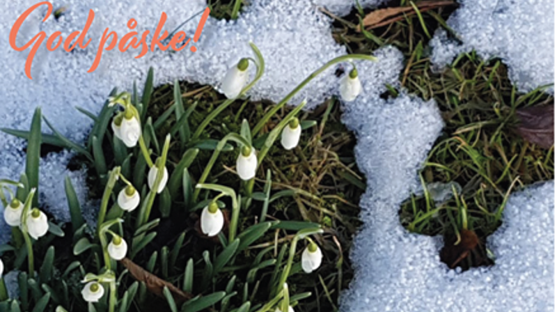 Nytt menighetsblad