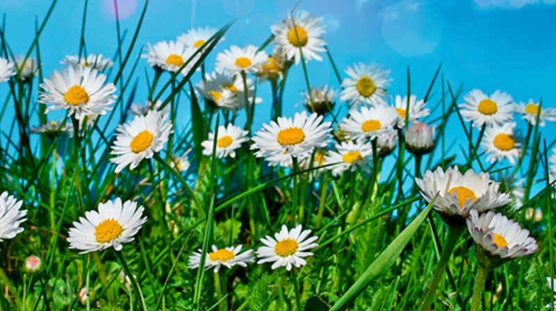 Sommeråpning