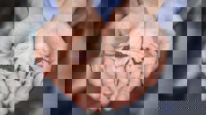 Foto: Joshua Lanzarini, Unsplash