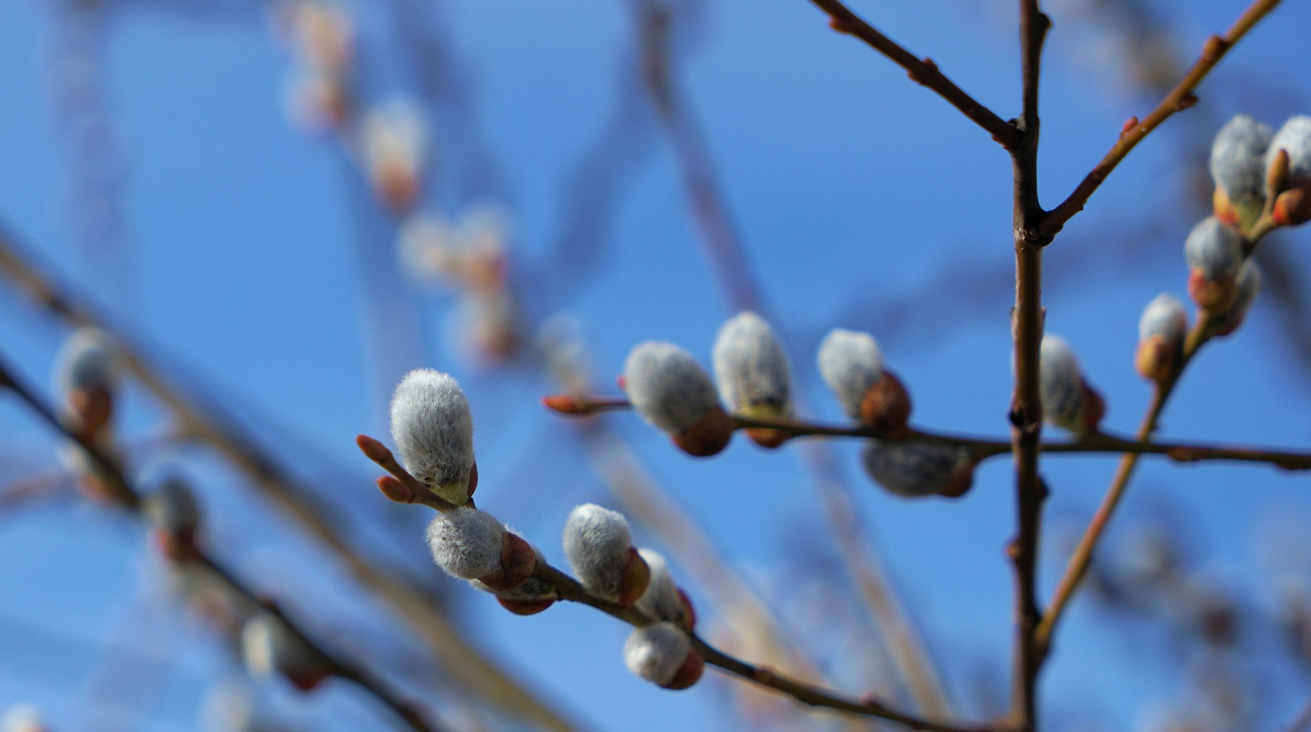 Foto: Andreas Lischka, Pixabay