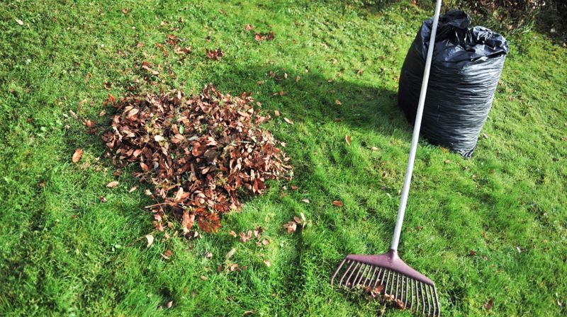 Velkommen til dugnad