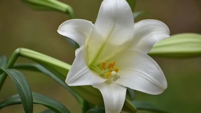 Påsken i Klæbu menighet