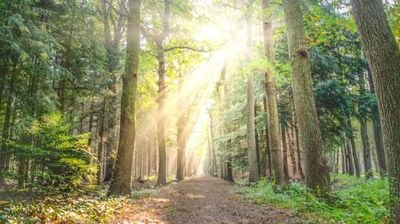 Sorggrupper. Oppstart høst og vår.