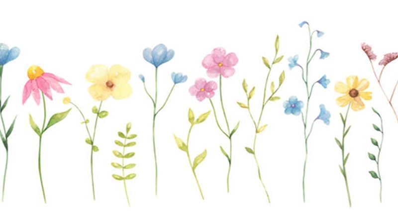 Gudstjenester i Nidelven menighet sommeren 2023