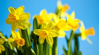 Formiddagstreff og hyggetreff våren 2026