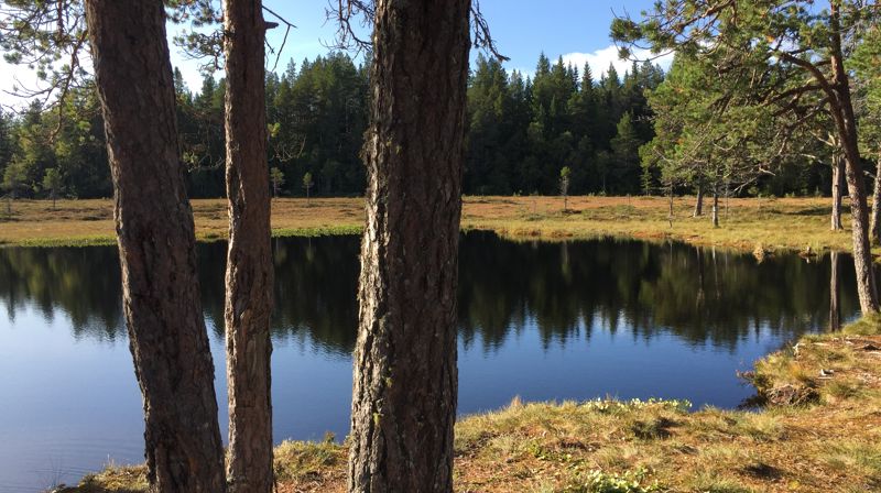 Messe med dypdykk - høsten 2025