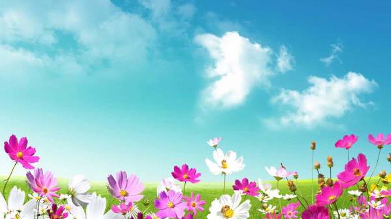 Sommerens gudstjenester i Nidelven